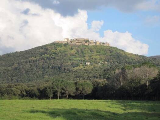 Wohnung zum Kauf 190.000 € 7 Zimmer 108 m² Roccastrada