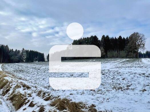 Land-/Forstwirtschaft zum Kauf 145.000 € 11.237 m² Grundstück Taubendorf Gangkofen 84140