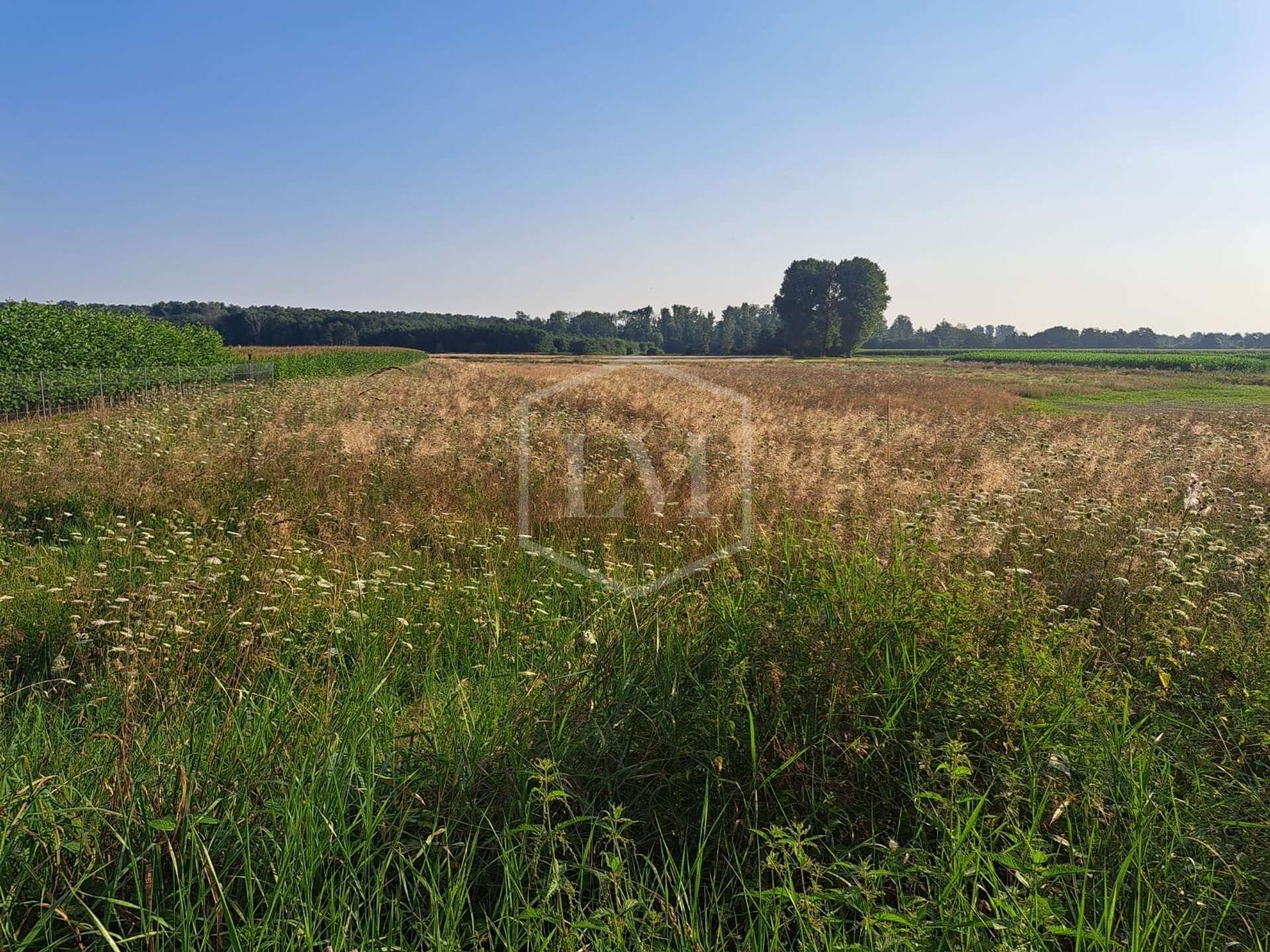 Landwirtschaftliche Fläche zum Kauf 71.000 € 8.998 m²<br/>Grundstück Hückelhoven Hückelhoven 41836