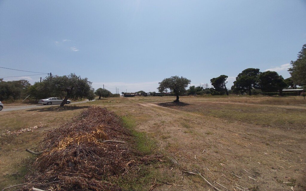 Land-/Forstwirtschaft zum Kauf 275.000 € 5.000 m²<br/>Grundstück Chalkidiki