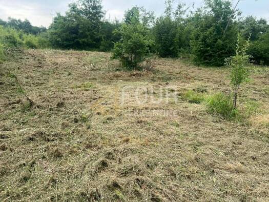Acker-/Waldstück zum Kauf 20.000 € Materada, Umag Umag 52470