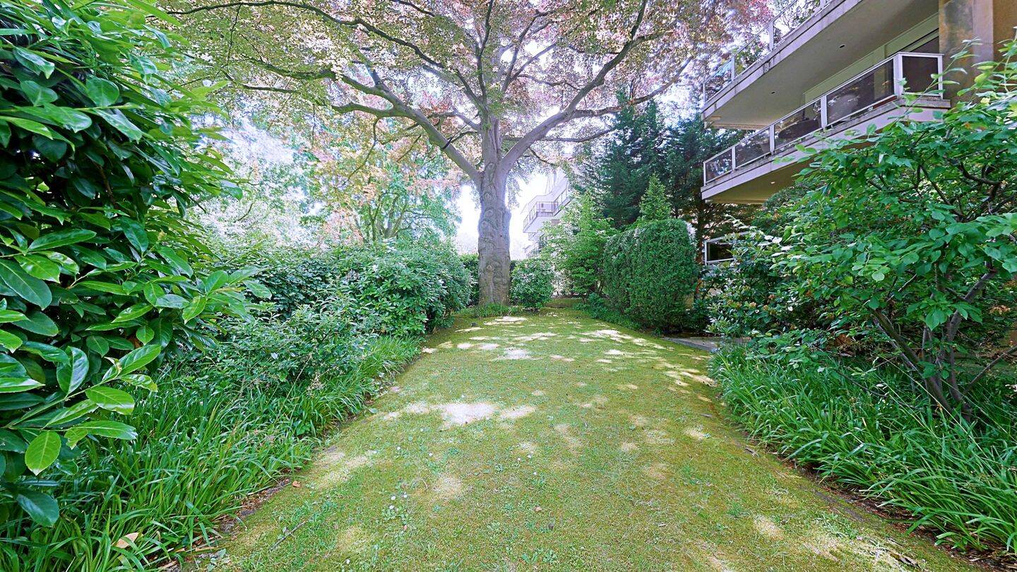 Property thumbnail 11