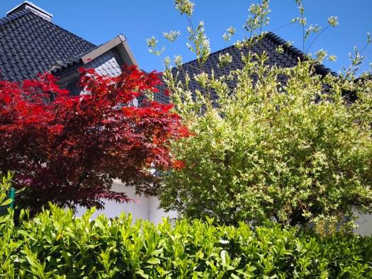 Terrassenwohnung zur Miete 1.650 € 3 Zimmer 96 m² Geschoss EG/1 frei ab 30.01.2026 Rahlstedt Hamburg 22147