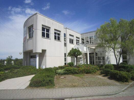 Büro zur Miete provisionsfrei 735 m² Bürofläche Steinberg Dietzenbach 63128