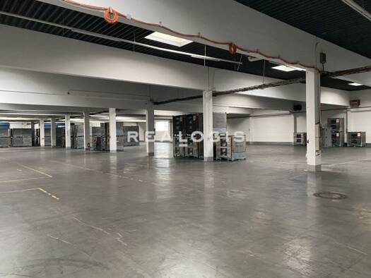 Halle/Industriefläche zur Miete provisionsfrei 5.400 m² Lagerfläche teilbar ab 2.500 m² Eching Eching 85386
