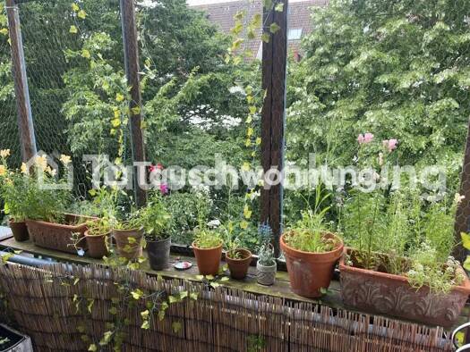 Wohnung zur Miete Tauschwohnung 643 € 2 Zimmer 67 m² 3. Geschoss Lövenich Lindenthal 50859