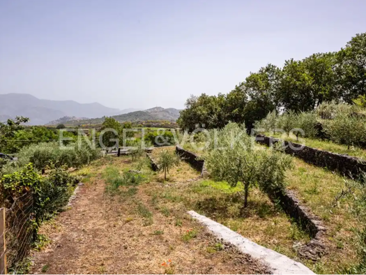 Grundstück zum Kauf 130.000 € Castiglione di Sicilia 95012