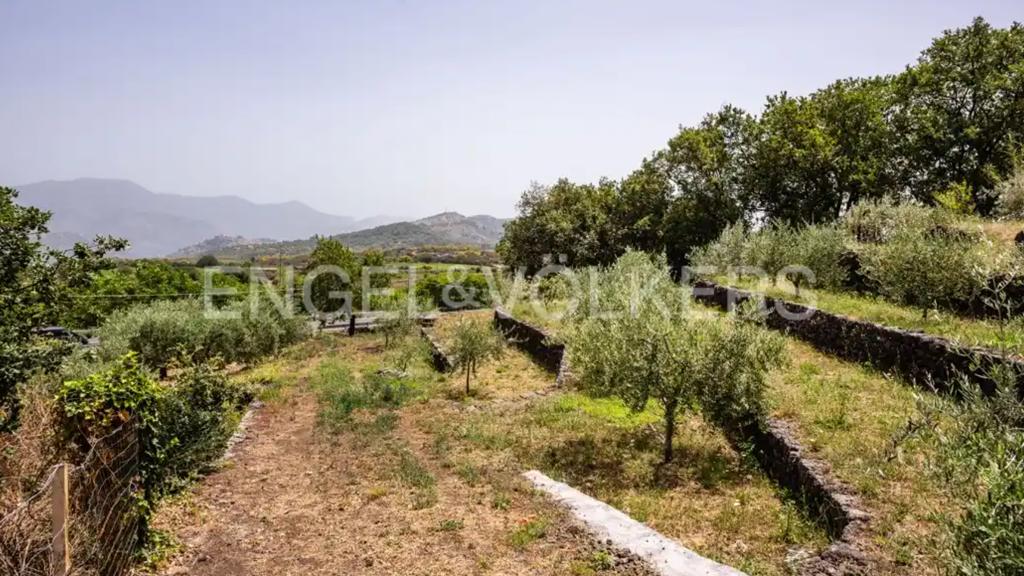 Grundstück zum Kauf 130.000 € Castiglione di Sicilia 95012