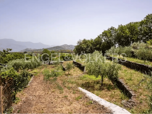 Grundstück zum Kauf 130.000 € Castiglione di Sicilia 95012