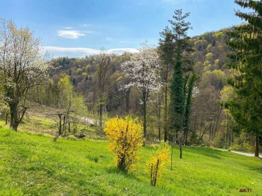 Grundstück zum Kauf 125.000 € 1.090 m² Grundstück Kranach 8462