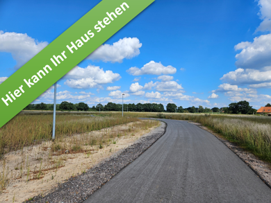 Einfamilienhaus zum Kauf - Erstbezug provisionsfrei 317.850 € 5 Zimmer 124 m² 657 m² Grundstück Eichhof Flettmar Müden (Aller) 38539