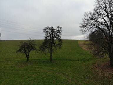 Haus zum Kauf 8 Zimmer 160 m² 4.900 m² Grundstück frei ab sofort Schachten Altfraunhofen 84169