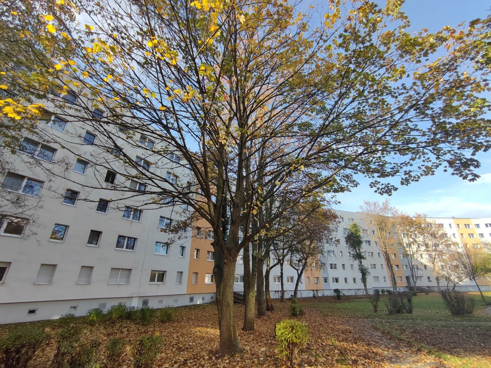 Wohnung zur Miete 280 € 3 Zimmer 57 m²<br/>Wohnfläche 5.<br/>Geschoss 01.12.2024<br/>Verfügbarkeit Brahmsbogen 1 Südliche Neustadt Halle (Saale) 06124