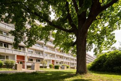 Wohnung zur Miete 487 € 3 Zimmer 64,9 m² 1. Geschoss Hyazinthenstraße 36 Nördliche Neustadt Halle 06122
