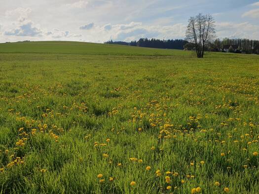 Landwirtschaftliche Fläche zum Kauf 130.000 € 12.545 m² Grundstück Zeilhofen Zeilhofen Dorfen 84405
