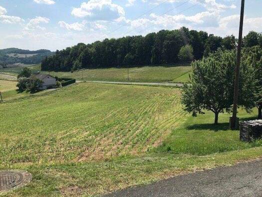 Grundstück zum Kauf 240.000 € 4.679 m² Grundstück Grieselstein 8380