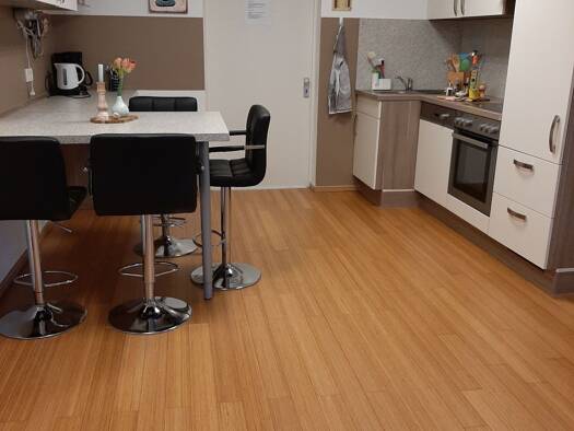 Terrassenwohnung zur Miete 1.000 € 1 Zimmer 60 m² Geschoss EG/1 frei ab sofort Obere Wilhelmstr. Beuel Bonn 53225