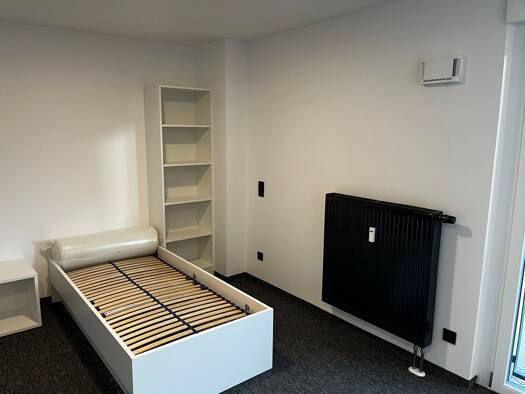 Wohnung zur Miete 500 € 1 Zimmer 26 m² Geschoss 1/2 frei ab sofort St Peter Nürnberg 90478