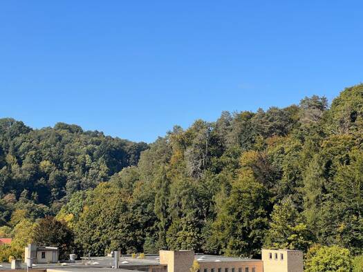 Wohnung zur Miete 960 € 3 Zimmer 96 m² Geschoss 3/3 frei ab sofort Hoheneckstraße 3 Dillweißenstein Pforzheim 75180