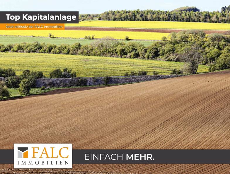 Land-/Forstwirtschaft zum Kauf 200.336 m² Grundstück Zierzow Zierzow 19300
