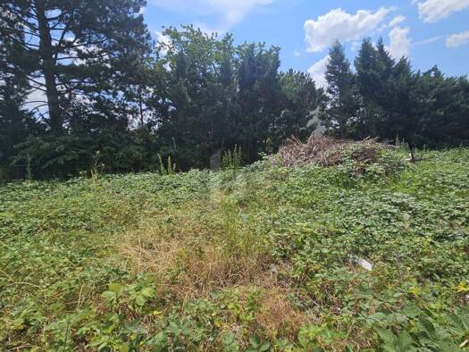 Grundstück zum Kauf 373.000 € 623 m² Grundstück Bisamberg 2102