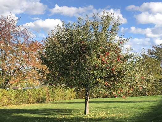 Grundstück zum Kauf 3.600 m² Grundstück Baugenehmigung vorhanden frei ab sofort Gauernitz Klipphausen 01665