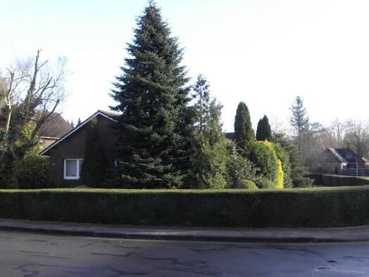 Einfamilienhaus zur Miete 800 € 4 Zimmer 120 m² 700 m² Grundstück frei ab 01.05.2026 Weener 26826