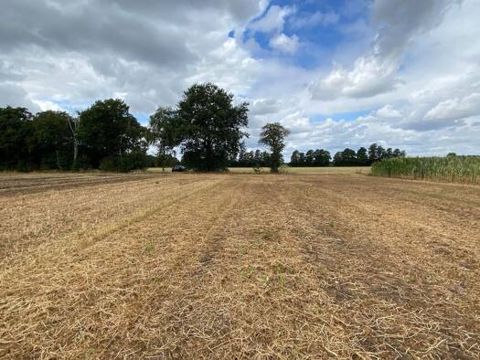 Land-/Forstwirtschaft zum Kauf 133.000 € 12.558 m² Grundstück Recke Recke 49509