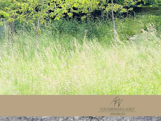 Grundstück zum Kauf 150.000 € 745 m² Grundstück Niederreifenberg Schmitten 61389