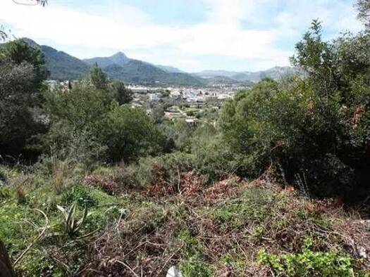 Acker-/Waldstück zum Kauf 95.000 € Orba Orba 03790