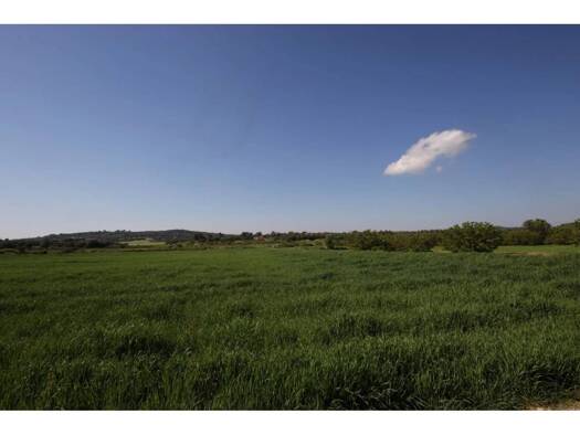 Acker-/Waldstück zum Kauf 250.000 € Porreres 07260