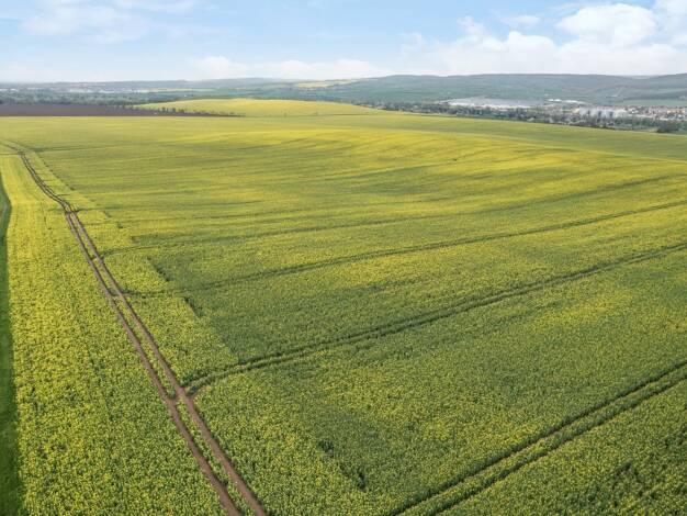 Land-/Forstwirtschaft zum Kauf 900.000 € 366.700 m² Grundstück Kelbra 06537