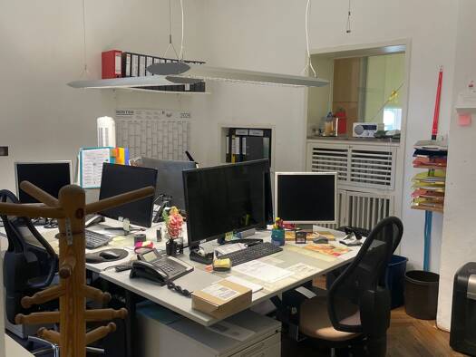Wohnung zur Miete 650 € 1 Zimmer 60 m² Bergheim Heidelberg 69115