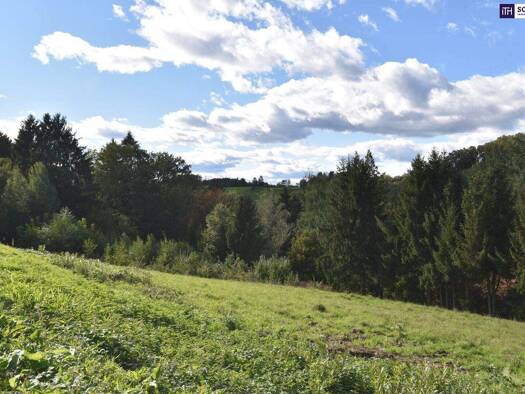 Grundstück zum Kauf 207.000 € 1.010 m² Grundstück Kainbach bei Graz 8301