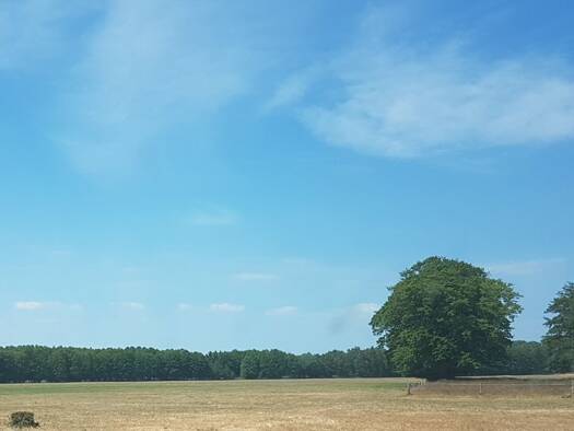 Grundstück zum Kauf 189.900 € 1.000 m² Grundstück Korswandt 17419