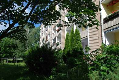 Wohnung zur Miete 225 € 2 Zimmer 41,4 m² 4. Geschoss Am Harthwald 40 Markersdorf Chemnitz 09123