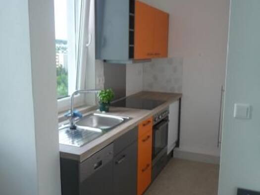 Studio zur Miete auf Zeit 650 € 1 Zimmer 18 m² frei ab sofort Reinhausen Regensburg 93057