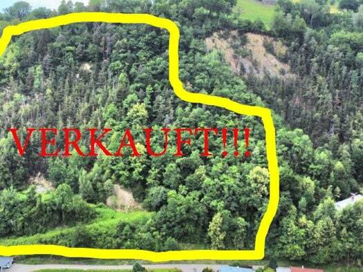 Forstwirtschaft zum Kauf 18.000 € 18.000 m² Grundstück Wolfsberg 9413