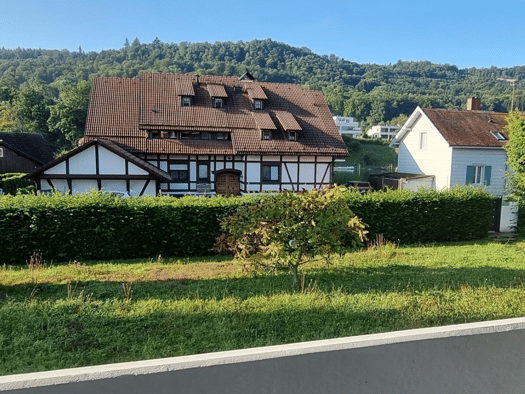 Wohnung zur Miete 820 € 2 Zimmer 43 m² Geschoss 1/3 frei ab sofort Büsingen am Hochrhein 78266