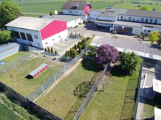 Grundstück zum Kauf 17.783 m² Grundstück Großliebringen Stadtilm 99326