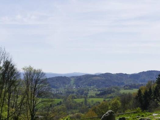 Grundstück zum Kauf 297.000 € 300 m² Grundstück Zwingenberg 64673