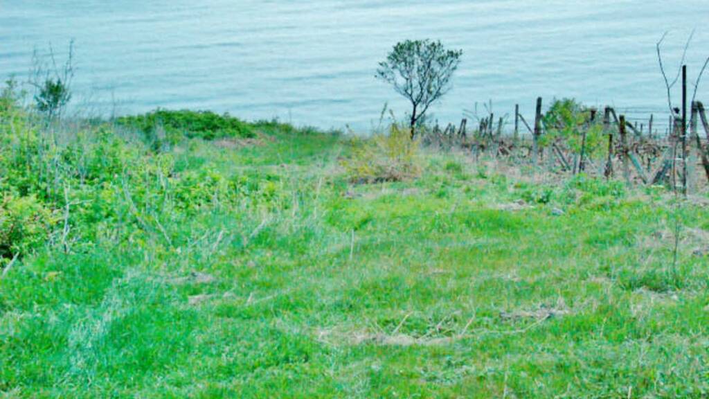 Land-/Forstwirtschaft zum Kauf 60.000 € Byala (Varna)