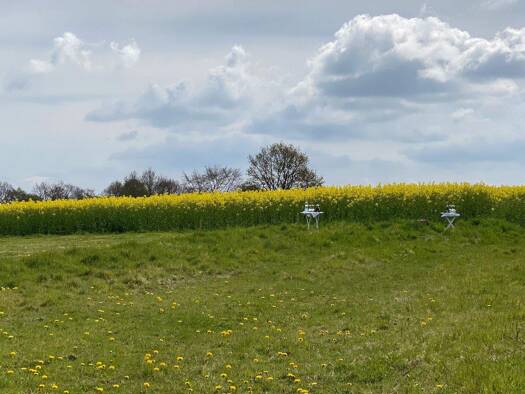 Grundstück zum Kauf 179.000 € 1.202 m² Grundstück Schleswig 24837