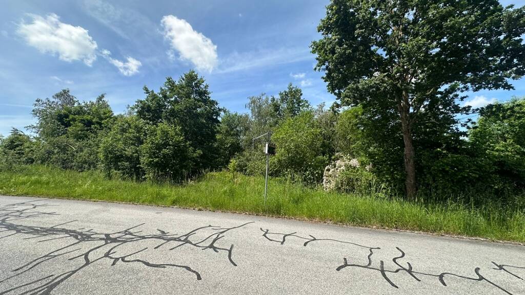 Grundstück zum Kauf 260.000 € 2.121 m² Grundstück Frauenholz Aicha v. Wald 94529