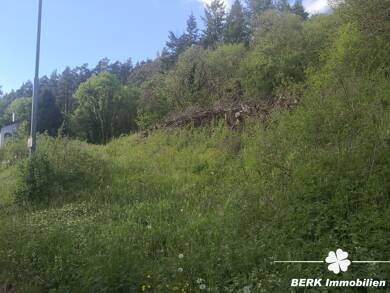 Grundstück zum Kauf 105.000 € 3.298 m² Grundstück Rippberg Walldürn / Rippberg 74731