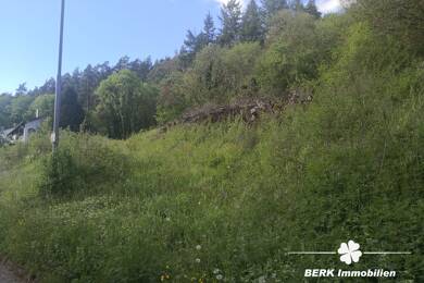 Grundstück zum Kauf 105.000 € 3.298 m² Grundstück Rippberg Walldürn / Rippberg 74731
