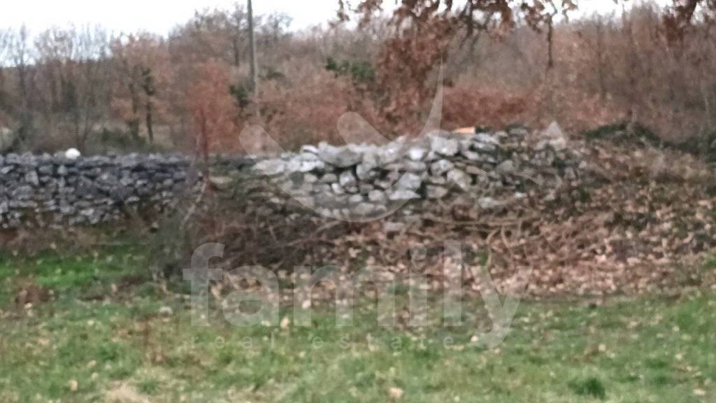 Land-/Forstwirtschaft zum Kauf 82.860 € Barban