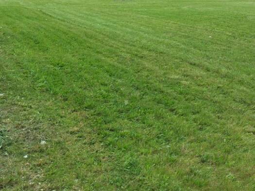 Grundstück zum Kauf 550.000 € 2.060 m² Grundstück Hainstraße 50 Sonnenberg Chemnitz 09130