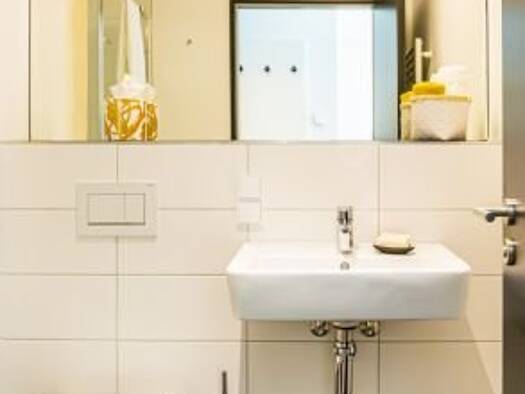 Studio zur Miete 733 € 1 Zimmer 43,5 m² 1. Geschoss frei ab sofort Klingholzstr. 6-8 Biebrich Wiesbaden 65189