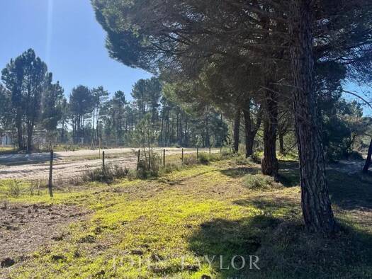 Grundstück zum Kauf provisionsfrei 2.700.000 € 75.000 m² Grundstück 7570-337